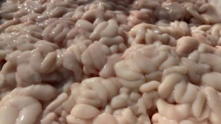 11/15(土)

📣本日限定特売📣
北海道産 鱈白子 🐟

🛒1パック200g → 税込800円 💰
⏰販売開始：11時〜

冬の味覚❄️ 今がチャンス✨
鍋🍲や焼き物🔥にぴったり！

数量限定なのでお早めに💨

#鱈白子 
#北海道産 
#冬の味覚 
#鍋料理 
#焼き物 
#特売 
#数量限定 
#主婦おすすめ 
#おうちごはん 
#食材 
#旬の食材 
#お買い得 
#鮮魚 
#新鮮