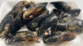 12/27(土)

🐟🔥本日の特売！11時スタート🔥🐟

🟦 青森県産 ムール貝 500g
▶ 1パック 税込200円

🟦 福島県産 柳カレイ唐揚げ
▶ 1パック 税込300円

🟦 青森県産 鱈白子天ぷら
▶ 1パック 税込500円

どれも今だけの特売です✨
⚠️数量限定・売り切れ次第終了
お早めにどうぞ！

#本日の特売
#ムール貝
#柳カレイ
#鱈白子
#白子天ぷら
#海鮮
#鮮魚店
#魚屋
#数量限定
#今日のおかず