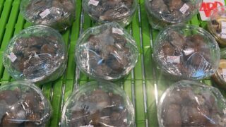 1/24(土)

🉐 本日の特売 11時スタート！

旨みたっぷり、今すぐ食べたい海の幸✨
数量限りなのでお早めにどうぞ🐟

・青森県産 手作り塩辛
　▶︎ 1パック 税込 800円

・北海道産 磯つぶ煮
　▶︎ 1パック 税込 500円

・宮城県産 赤なまこ酢
　▶︎ 1パック 税込 500円

・青森県産 鱈白子（150g）
　▶︎ 1パック 税込 500円

今日は何を選びますか？😊
ご来店お待ちしております♪

#本日の特売
#鮮魚 
#塩辛 
#白子 
#なまこ酢 
#磯つぶ
#青森県産 
#北海道産 
#宮城県産