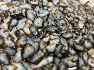 1/29(木)

🕒本日15時から！3時間限定特売🕕
なくなり次第終了です💨

🐟 宮城県産 雄勝 青なまこ酢
👉 1パック 税込500円

🐚 北海道産 磯つぶ煮
👉 1パック 税込500円

🦀 北海道産 冷凍毛蟹（約360g）
👉 11杯限定！1杯 税込1500円

🍣 宮城県産 バチマグロ山かけ
👉 1パック 税込500円

今夜の食卓に迷ったらこれ！
早い者勝ちです🏃‍♀️💨

#本日限定 
#特売 
#魚屋 
#毛蟹 
#雄勝 
#マグロ