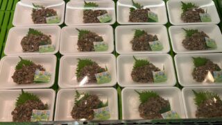 3/6(金)

📣本日の特売です‼️

🐟岩手県産
手作りいわしのなめろう
1パック【税込500円】

🦪青森県産
ホタテフライ
1個【税込150円】

🦑おつまみに大人気✨
👉いかの姿あげ
👉しっとりのり天
各1袋【税込280円】

⏰11時から販売スタート！
数量に限りがありますのでお早めに😊
ご来店お待ちしております🐟✨

#手作りいわしのなめろう
#ホタテフライ
#いかの姿あげ
#しっとりのり天