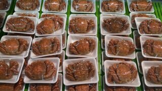 4/2(木)

🔥本日限定🔥

＼15時スタート‼／
⏰3時間だけの特売です！！

🐟岩手県産 ボイル毛蟹（370〜380g）
👉1杯 税込1500円

🐚北海道産 ホッキヒモ
👉1パック 税込500円

🌊岩手県産 特大ホヤ
👉1個 税込250円

🍚マグロ山かけ（全部500円‼）
・天然本鮪
・養殖本鮪
・鉢鮪

どれを選んでも👇
👉1パック 税込500円🔥

ーーーーーーーーーーー
⚠️15時〜3時間限定
⚠️売り切れ次第終了

今日は“買いの日”です。
早い者勝ちでどうぞ‼

#本日特売 
#毛蟹 
#ホヤ 
#マグロ 
#数量限定