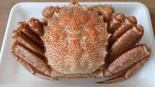4/30(木)

🔥本日の特売🔥
【15時スタート・3時間限定‼️】

🦀北海道産 毛蟹（約500g）
👉1杯 税込1000円‼️

🌊岩手県産 手作り蒸しホヤ
👉1パック 税込400円

🐟宮城県産 皮ハギ刺身
👉1パック 税込500円

🍣本鮪3種（天然・養殖・鉢）
👉山かけ 税込500円

この価格、正直“やりすぎ”です😳
早い者勝ちになります⚡
ぜひお待ちしております🙌

#本日の特売 
#毛蟹 
#ホヤ 
#皮ハギ 
#本鮪