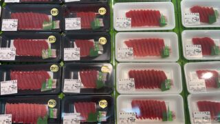 📣【本日限定！11:00スタート】📣

🐟 天然本マグロ
🐟 鉢マグロ
➡️ 表示価格より半額‼️

さらに…
✨特大ホヤ✨
🟠 1個 150円！

数量限定・なくなり次第終了です！
ぜひお早めにご来店ください😊

#本日の特売 
#天然本マグロ 
#鉢マグロ 
#特大ホヤ 
#魚好き