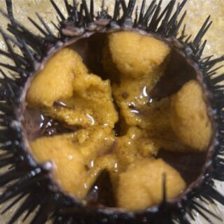 📣【本日11時から特売開催!】
✨殻付きうに
🉐 1個 300円
さらに…
🍱お惣菜はすべて 半額‼️
数量限定ですので、お早めにご来店ください😊
📍さかなやマルカ
新鮮な海の幸をご用意してお待ちしております🐟
#特売
#うに
#半額
#さかなやマルカ