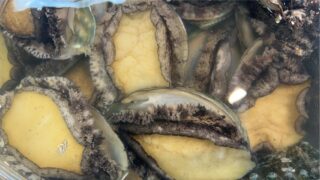 🐟本日11時から販売スタート!🐟
数量限定のおすすめ3品です✨
🦪 養殖あわび
100g・1個 500円
限定20個
🐟 特大ホッケ開き
1枚 780円
限定20枚
🦑 イカ一夜干し 2入
1パック 780円
限定20パック
どれも数量限定です!
なくなり次第終了となりますので、お早めにどうぞ😊
今日の食卓に、ちょっと贅沢な海の幸を✨
さかなやマルカでお待ちしております🐟
#さかなやマルカ
#あわび
#ホッケ
#イカ一夜干し
#魚屋
#海鮮